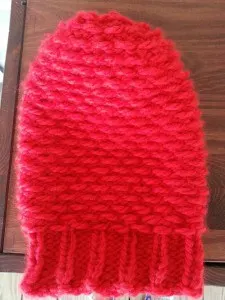 Stamen Stitch and Hat