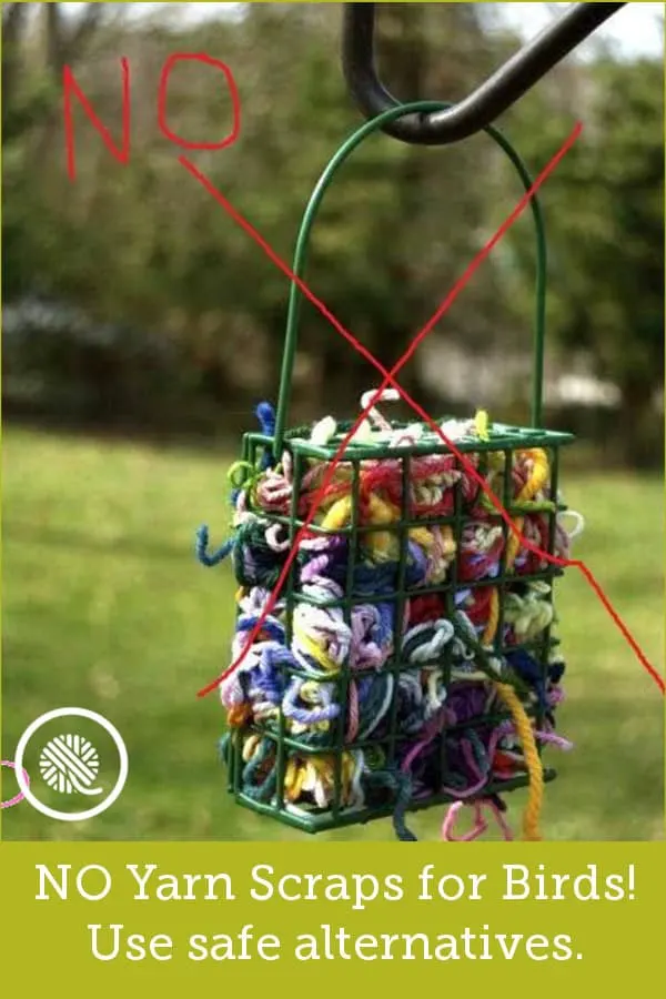 NO Yarn Scraps for Birds! https://www.goodknitkisses.com/psa-dangerous-yarn-scraps-for-birds/ #goodknitkisses #songbird #birdhouse #birdfeeder