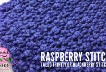 Raspberry Stitch Trinity Stitch Blackberry Stitch
