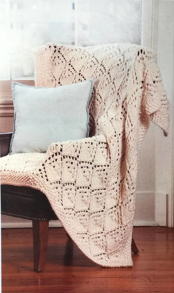 Winter Lace Afghan Beginner's Guide to Lace Knitting book giveaway