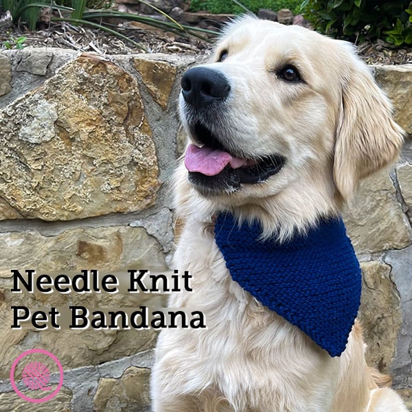 Make an Adorable Needle Knit Pet Bandana Today!