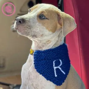 loom knit pet bandana with initial