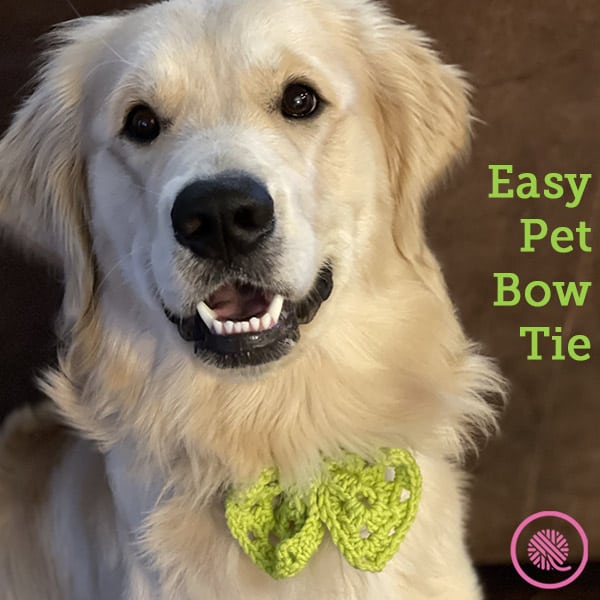 Easy Pet Bow Tie: 10-minute Craft for Needle, Crochet, or Loom!