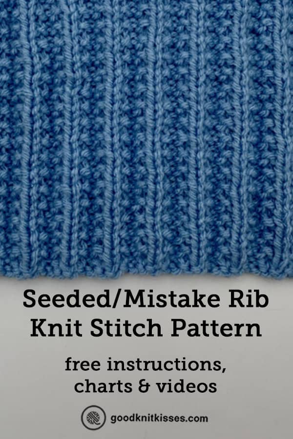 seeded mistake rib pin image