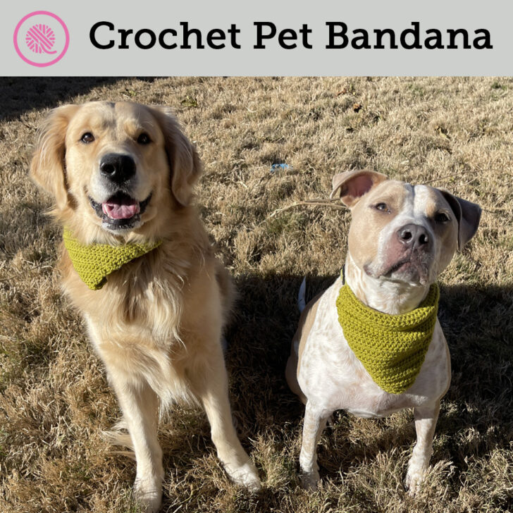 Quick & Easy Crochet Pet Bandana!
