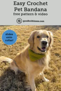 easy crochet pet bandana pin image