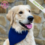 PDF: Needle Knit Pet Bandana